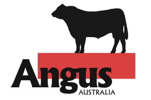 Angus Australia low res_Page_1 (2)